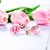 Picture of Touching Flowers & Plants Rose Gold Plated Stud 