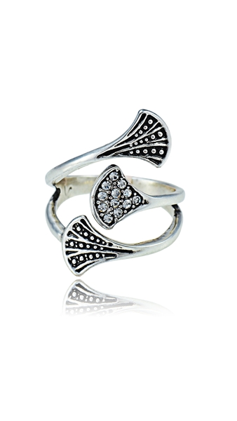 Picture of 20 Year China Export Classic Zinc-Alloy Fashion Rings