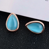 Picture of Unusual Casual Classic Stud Earrings