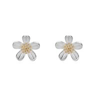 Picture of Funky Party Platinum Plated Stud Earrings